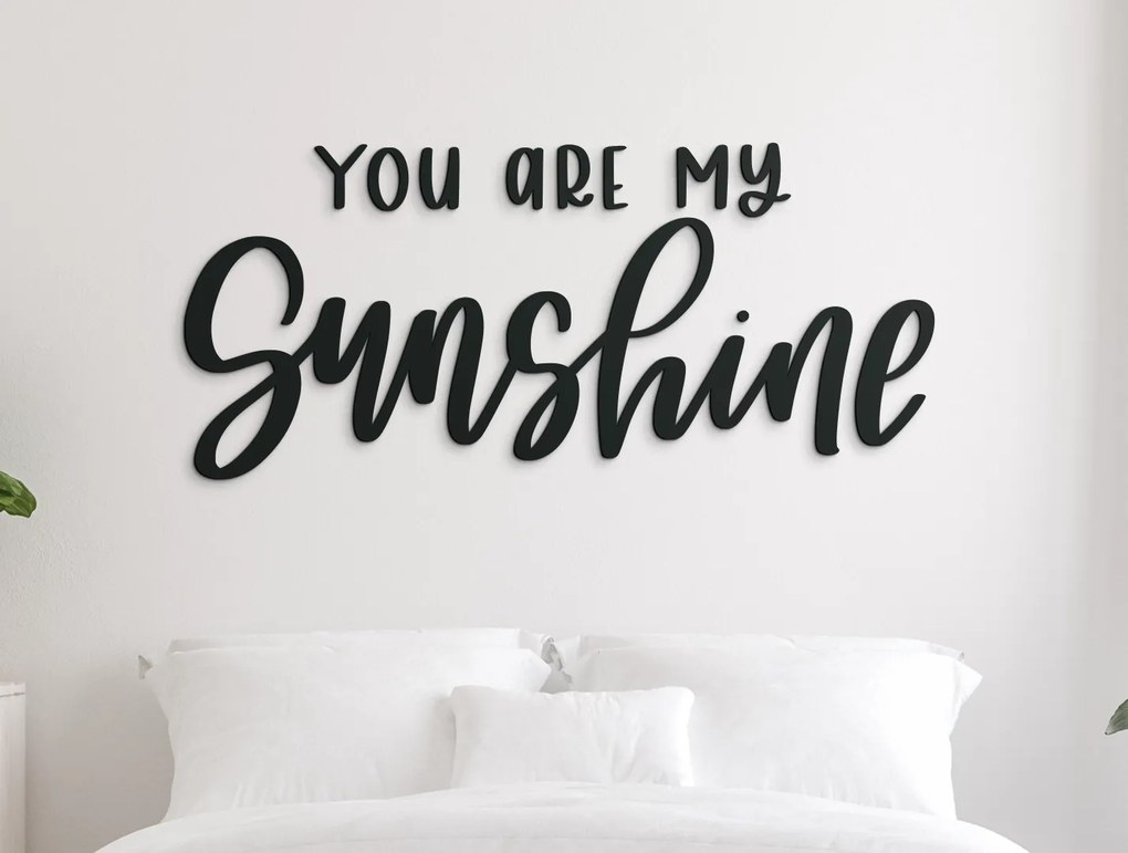 drevko Nápis na stenu You are my sunshine Rozmer obrazu: 19 x 42,5 cm, Farba dekorácie: Čierna