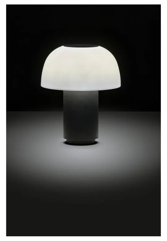 Čierna hliníková LED stmievateľná stolová lampa (výška 22 cm) Harvest – Zone