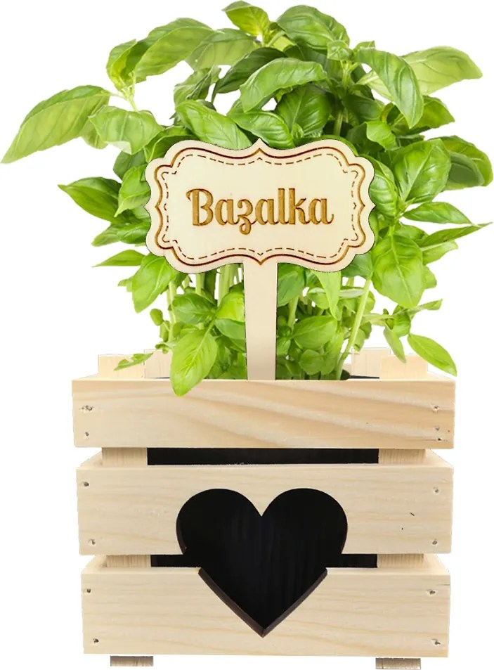 AMADEA Drevený zápich - ceduľka na bylinky Bazalka, výška 20 cm, český výrobok