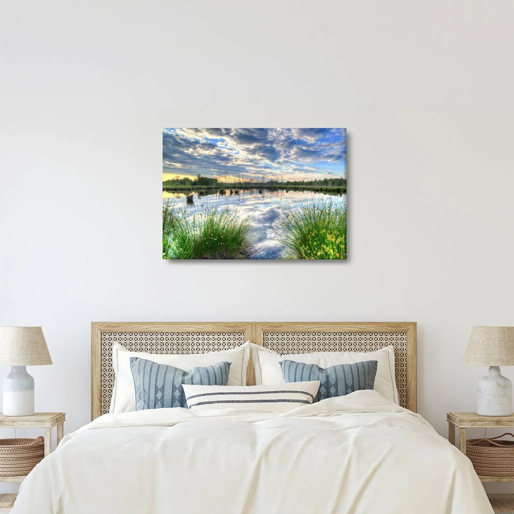 Obraz jazera s tŕstím (70x50 cm)
