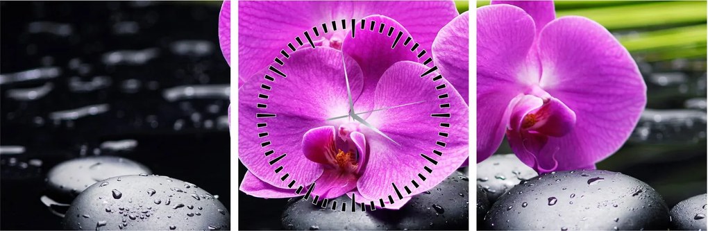 Obraz - Orchidey (s hodinami) (90x30 cm)