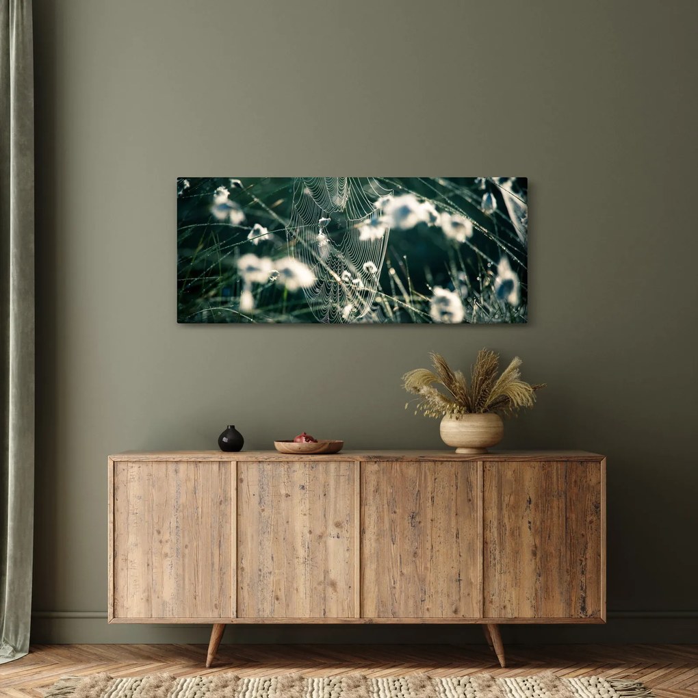 Obraz - Pavučina (120x50 cm)