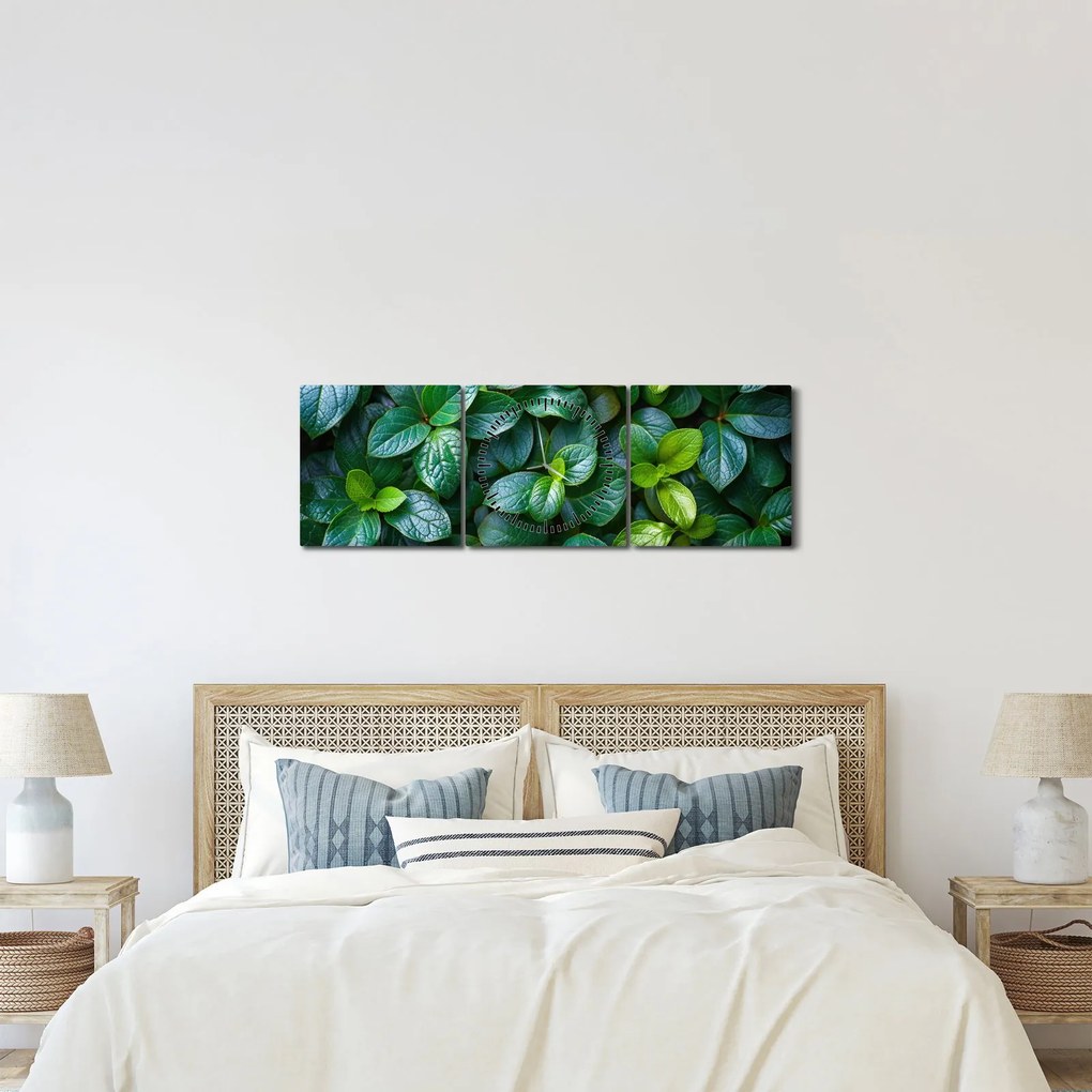 Obraz - Zelené rastliny (s hodinami) (90x30 cm)