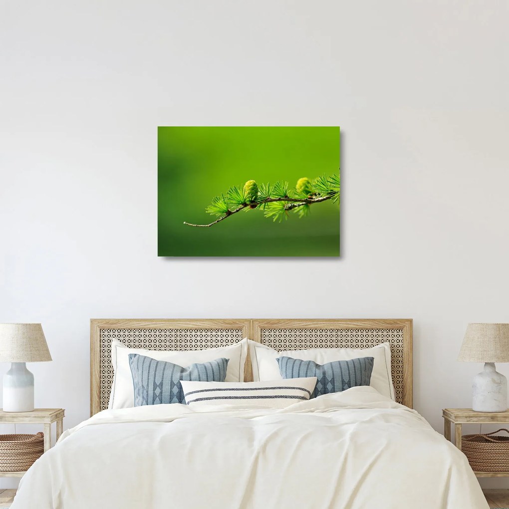 Sklenený obraz zelenej šišky (70x50 cm)