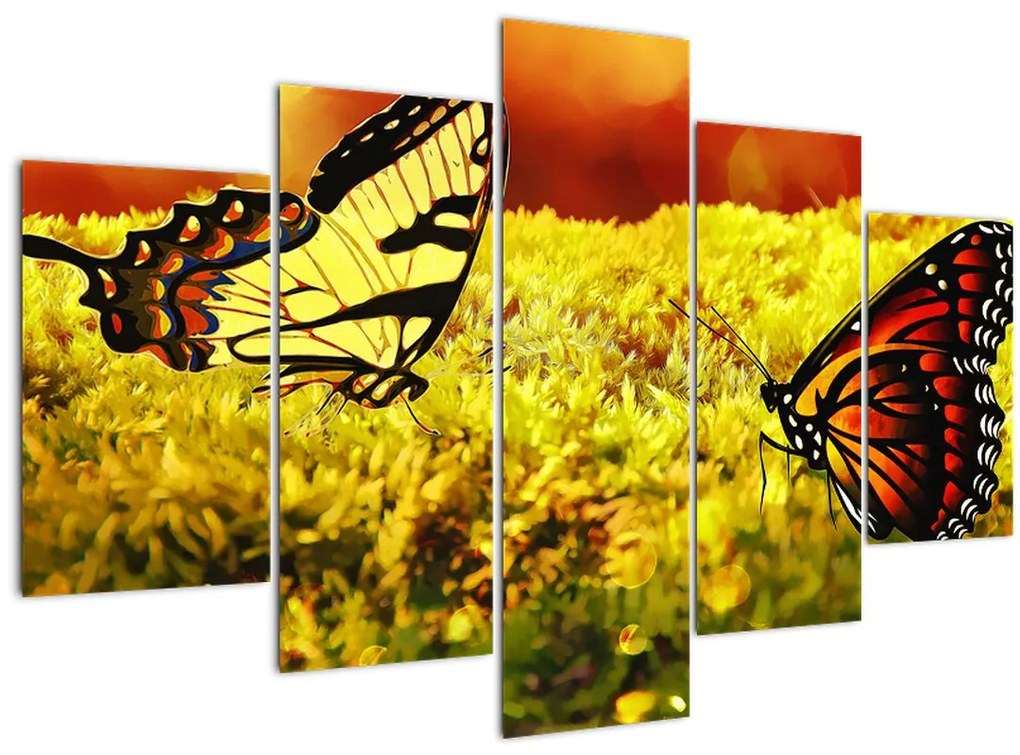 Obraz motýľov (150x105 cm)