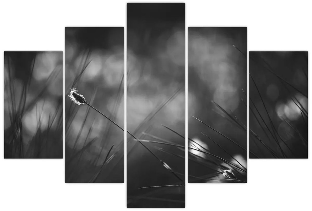 Obraz - Lúčna tráva (150x105 cm)