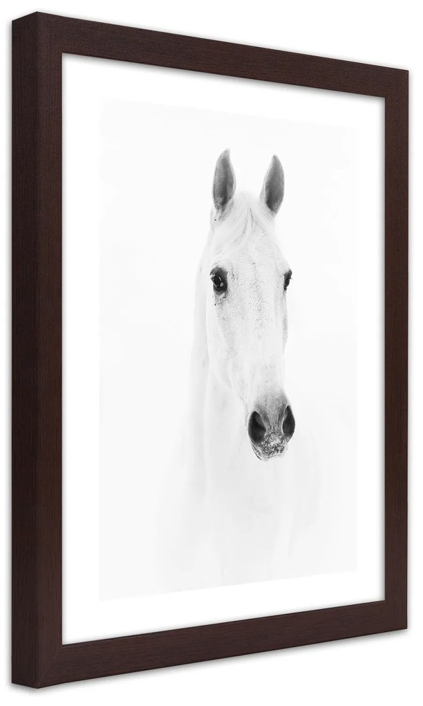 Gario Plagát Sivý kôň Farba rámu: Bez rámu, Rozmery: 70 x 100 cm