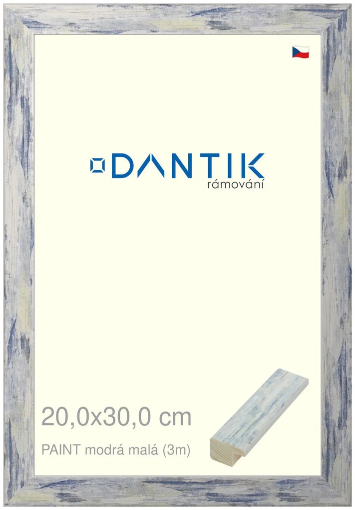 DANTIK rám na obraz 20x30 | PAINT modrá malá (Sklo Čiré)