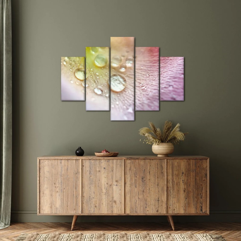 Obraz - Kvapky rosy (150x105 cm)