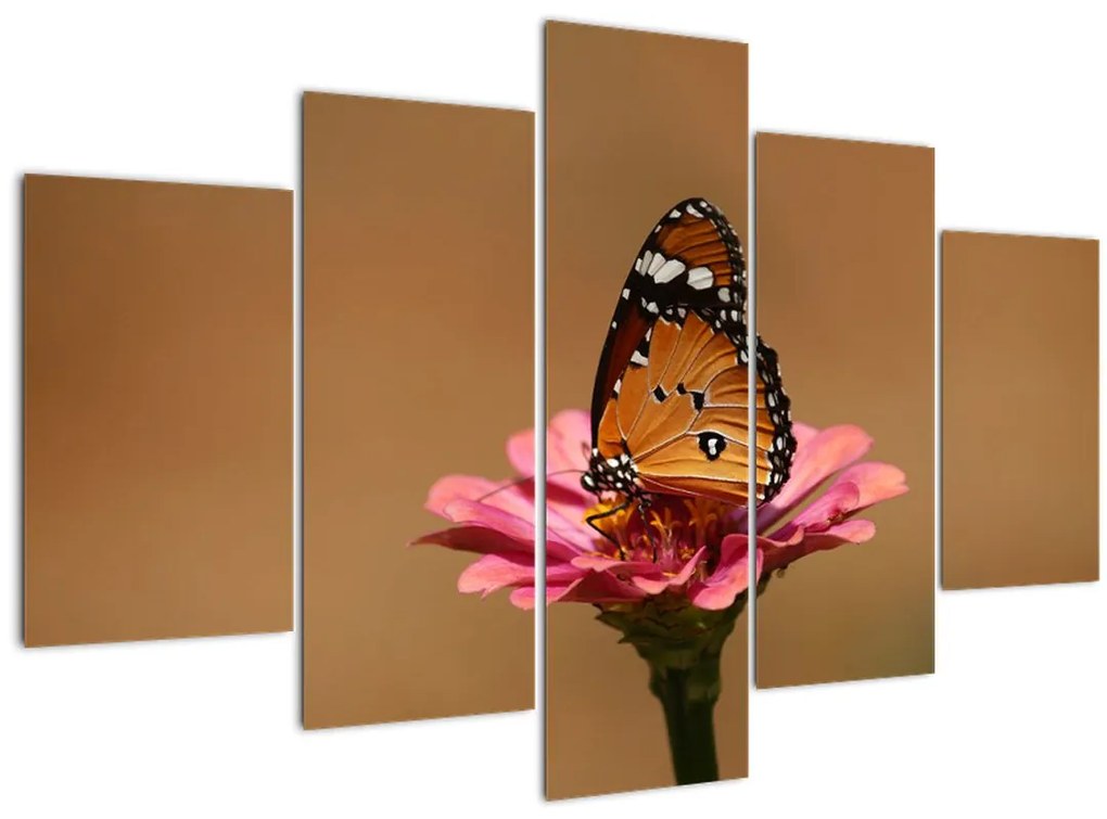 Obraz motýľa na kvetine (150x105 cm)