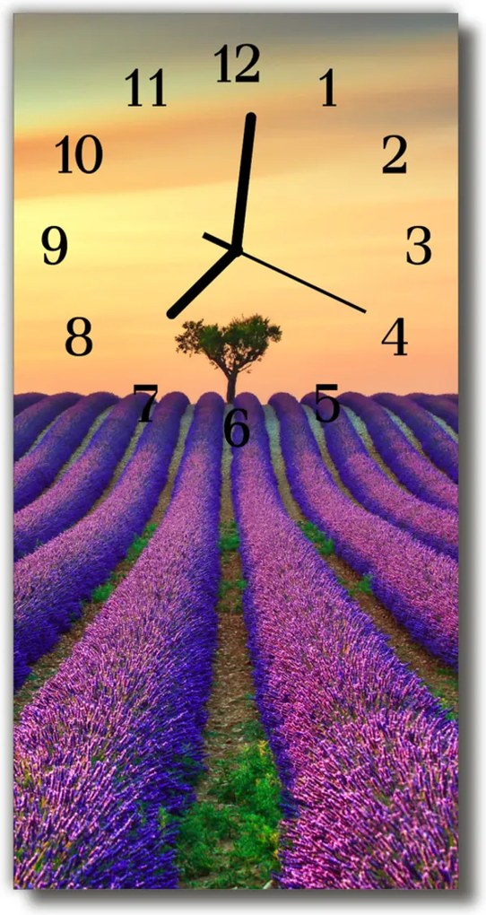 Sklenené hodiny vertikálne  Príroda Farebné polia levandule