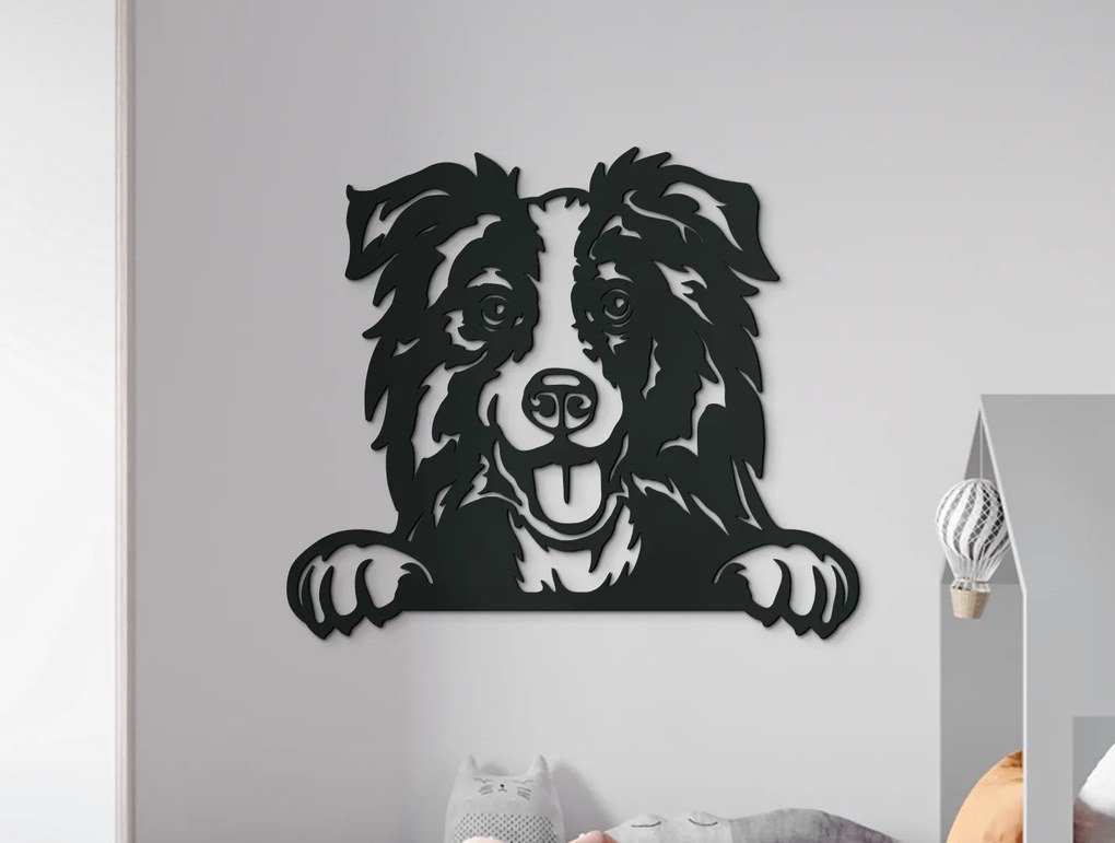 drevko Drevený obraz Borderská kólia Rozmer obrazu: 38 x 44,5 cm, Farba dekorácie: Čierna