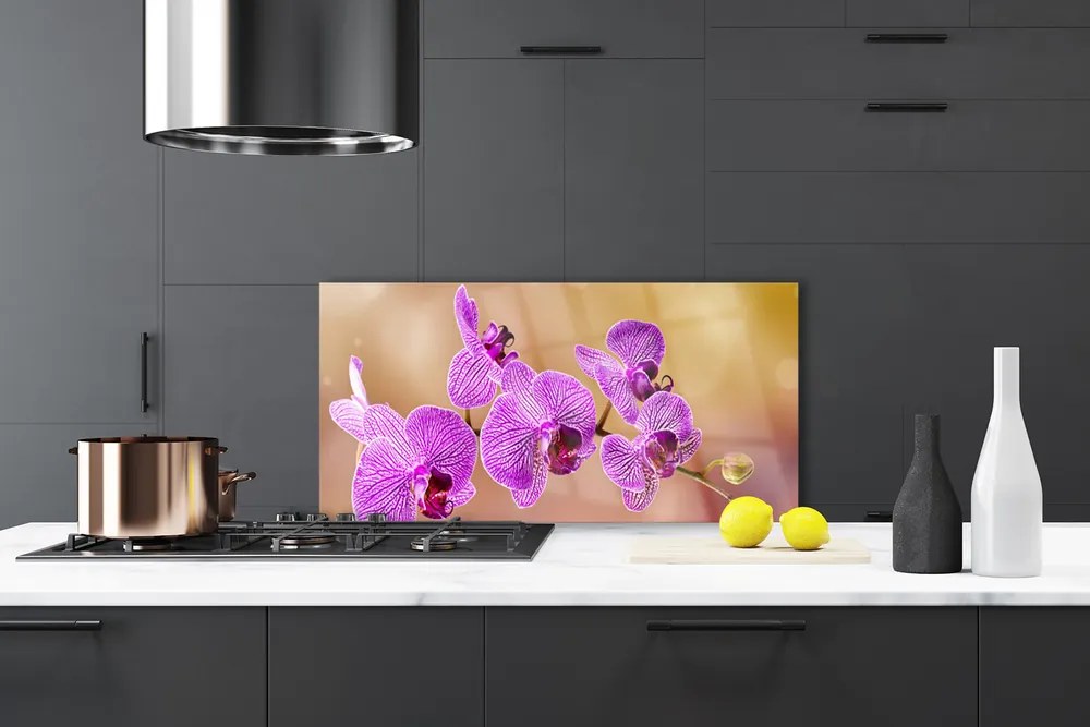 Sklenený obklad Do kuchyne Orchidea výhonky kvety príroda 100x50 cm