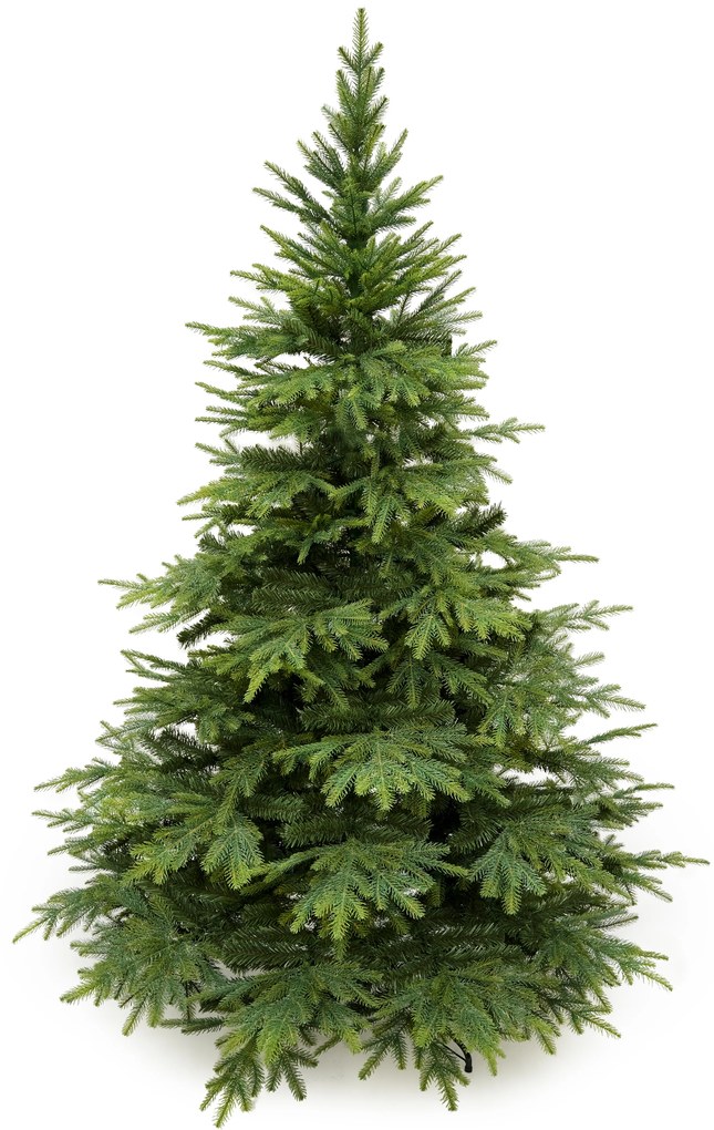 Smrek Kaukazský 3D- 250cm