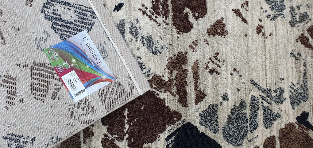 Spoltex, Kusový koberec Cambridge bone 7879, 200x290, hnedá, chodba / predsieň