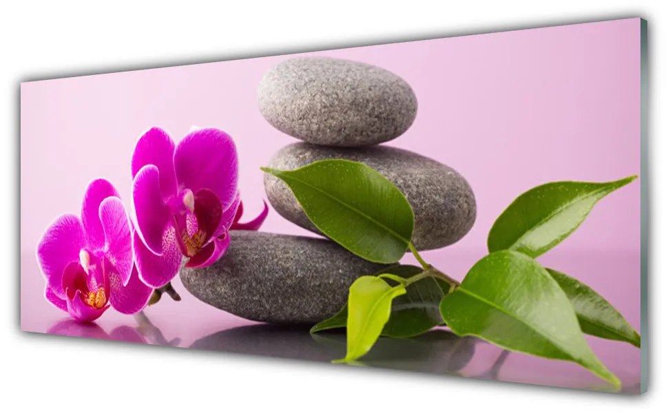 Obraz plexi Kvet kamene zen rastlina 125x50 cm