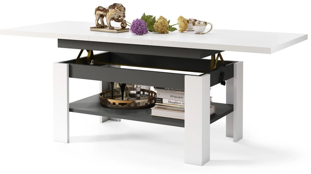 RIO Biely matný / Antracit (tmavo šedý) - KONFERENČNÝ STOLÍK ROZKLADACÍ A ZDVÍHACÍ