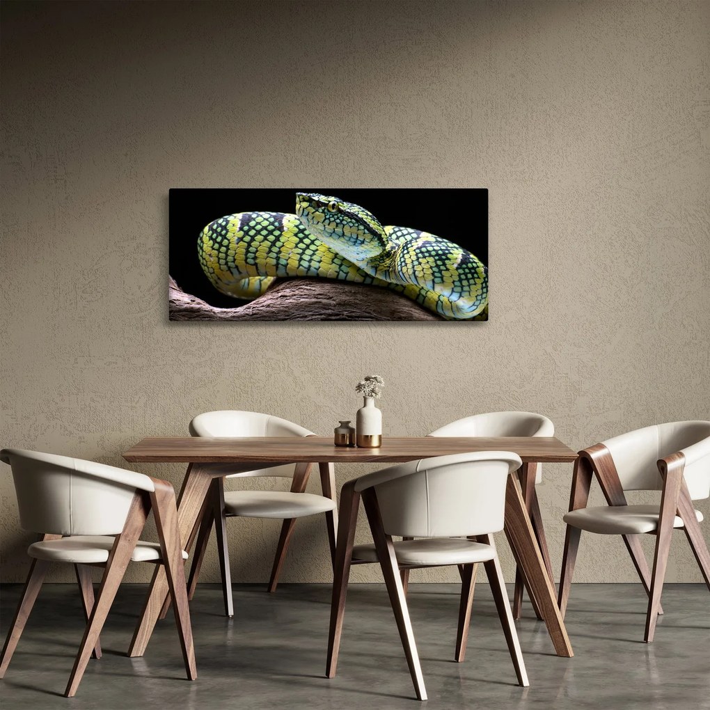 Obraz - Štrkáč Waglerov (120x50 cm)