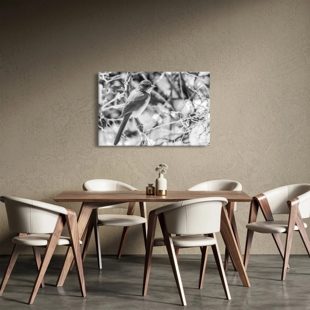 Obraz - Modrý vták v zime (90x60 cm)