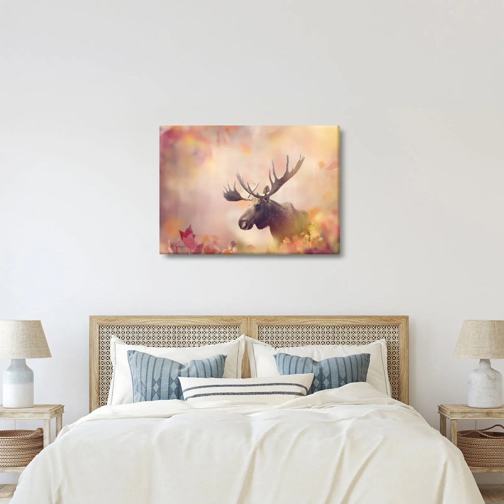 Obraz - Sob v jesennom lístí (70x50 cm)