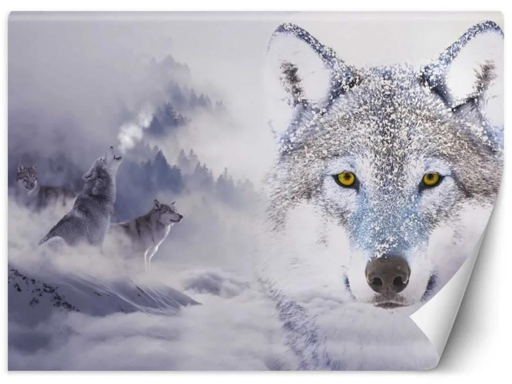 Fototapeta, Vlk v mlze Přírodní zvířata - 350x245 cm