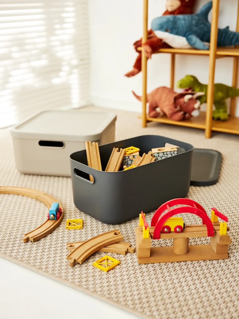 Rotho Úložný box, rovný s vekom, 12 l, antracit ALBU LIGHT, 40 x 24 x 18 cm