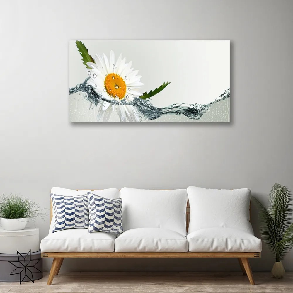 Obraz Canvas Sedmokráska vo vode 100x50 cm