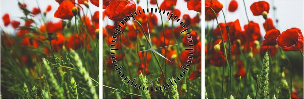 Obraz vlčích makov vo vetre (s hodinami) (90x30 cm)