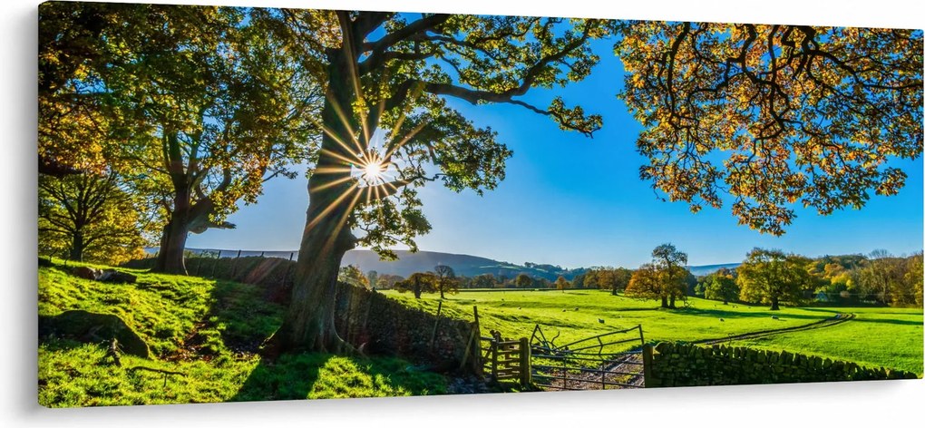 Obraz - Výhľad na pole (120x50 cm)
