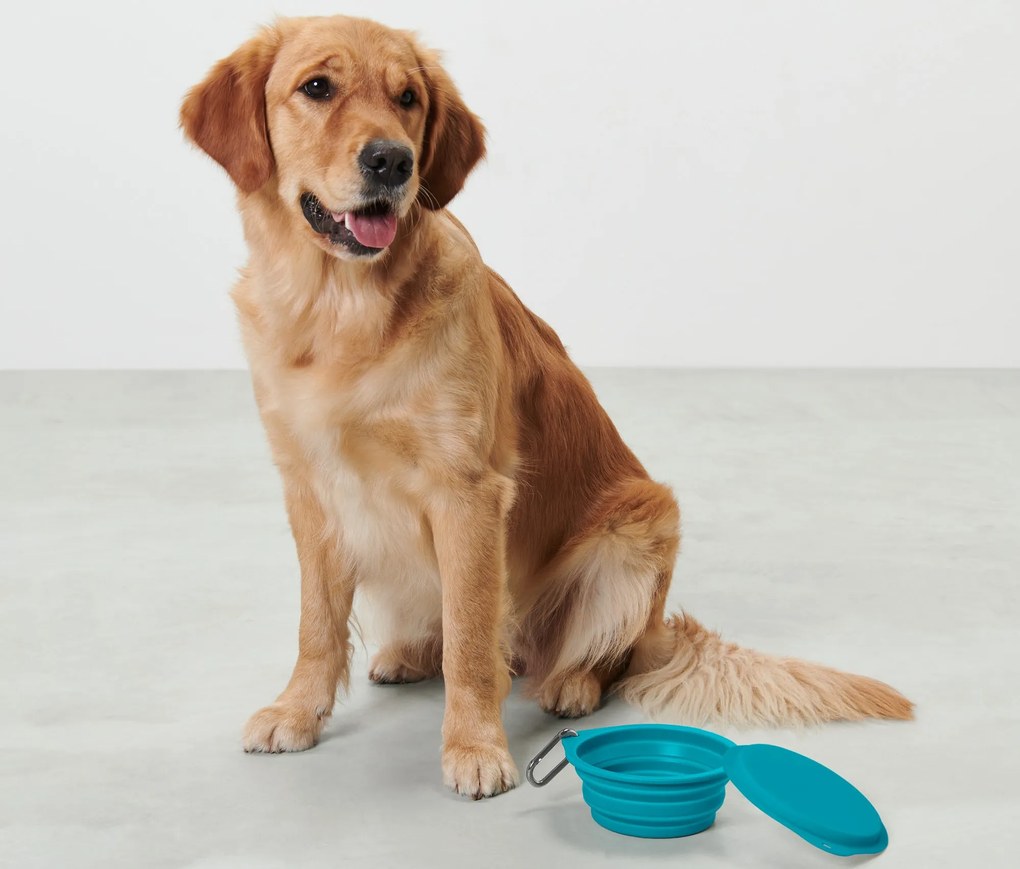 Skladacia miska na krmivo