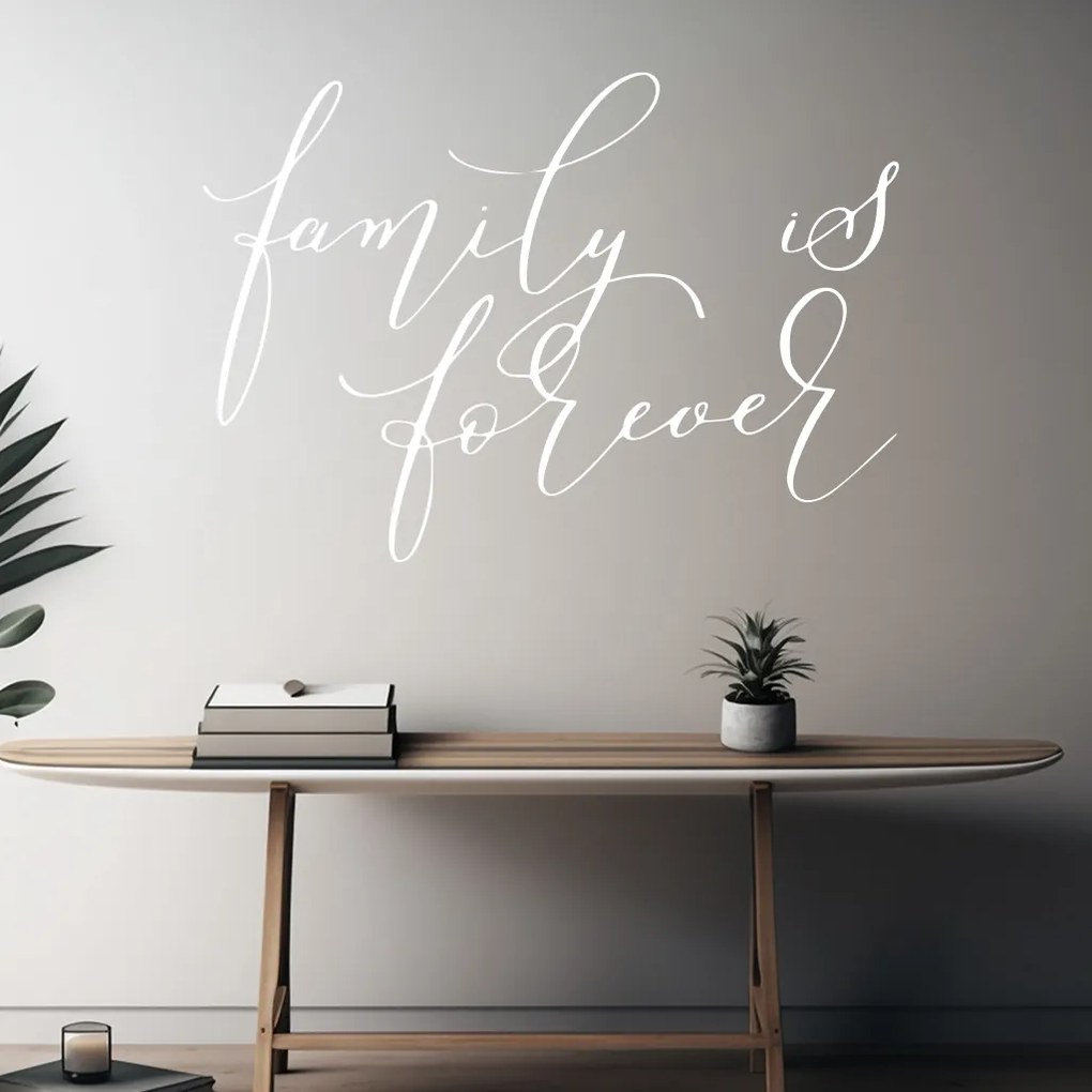 Veselá Stena Samolepka na stenu na stenu Family is forever Farba: čierna