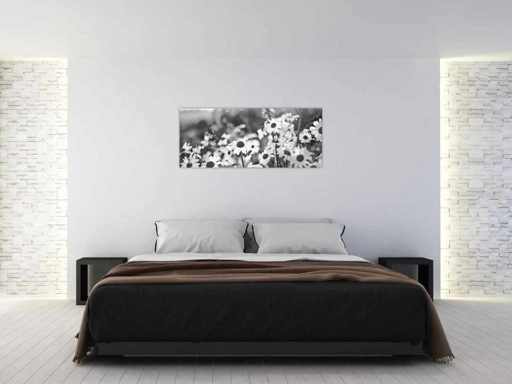 Obraz - Kopretiny (120x50 cm)