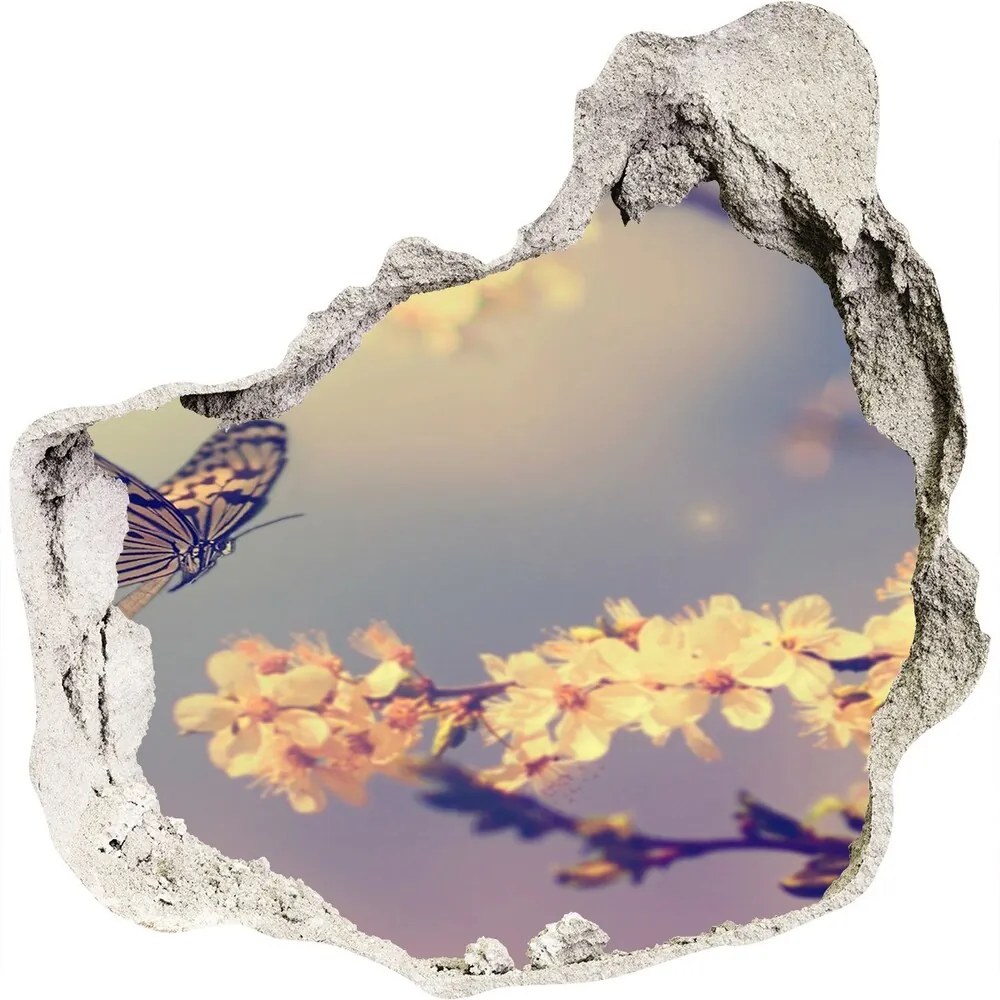 Fototapeta diera na stenu Kvet višne a motýľ WallHole-75x75-piask-72331211