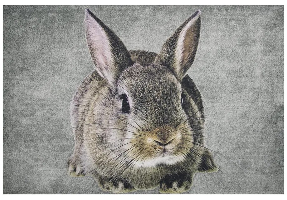 Šedá rohožka s králikom Rabbi - 75 * 50 * 1cm