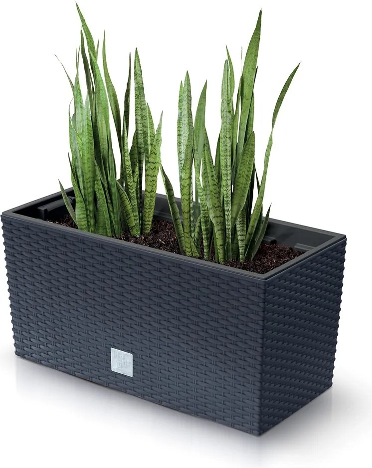 Truhlík RETTO s vkladom antracit