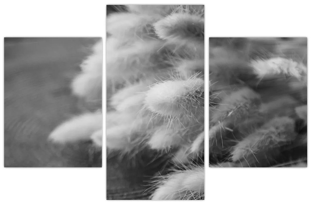 Obraz - bunny tail grass na stole (90x60 cm)