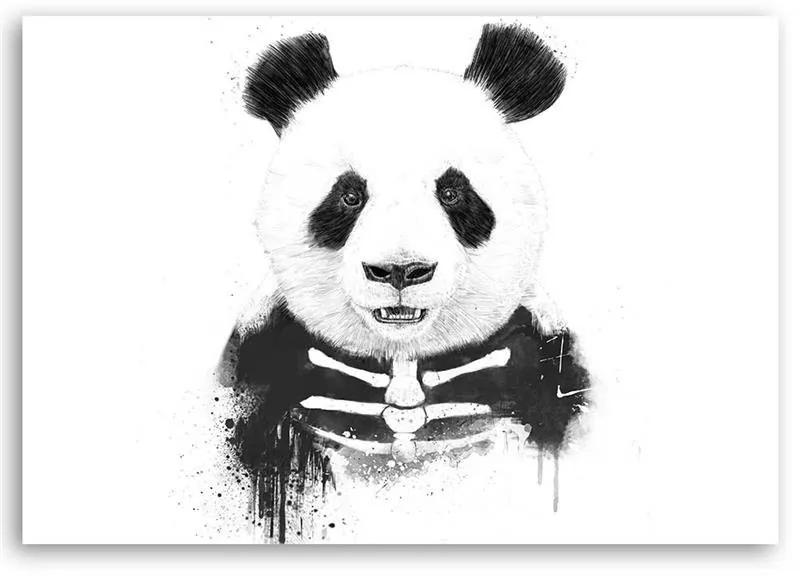 Gario Obraz na plátne Kostra medveďa pandy - Rykker Rozmery: 60 x 40 cm