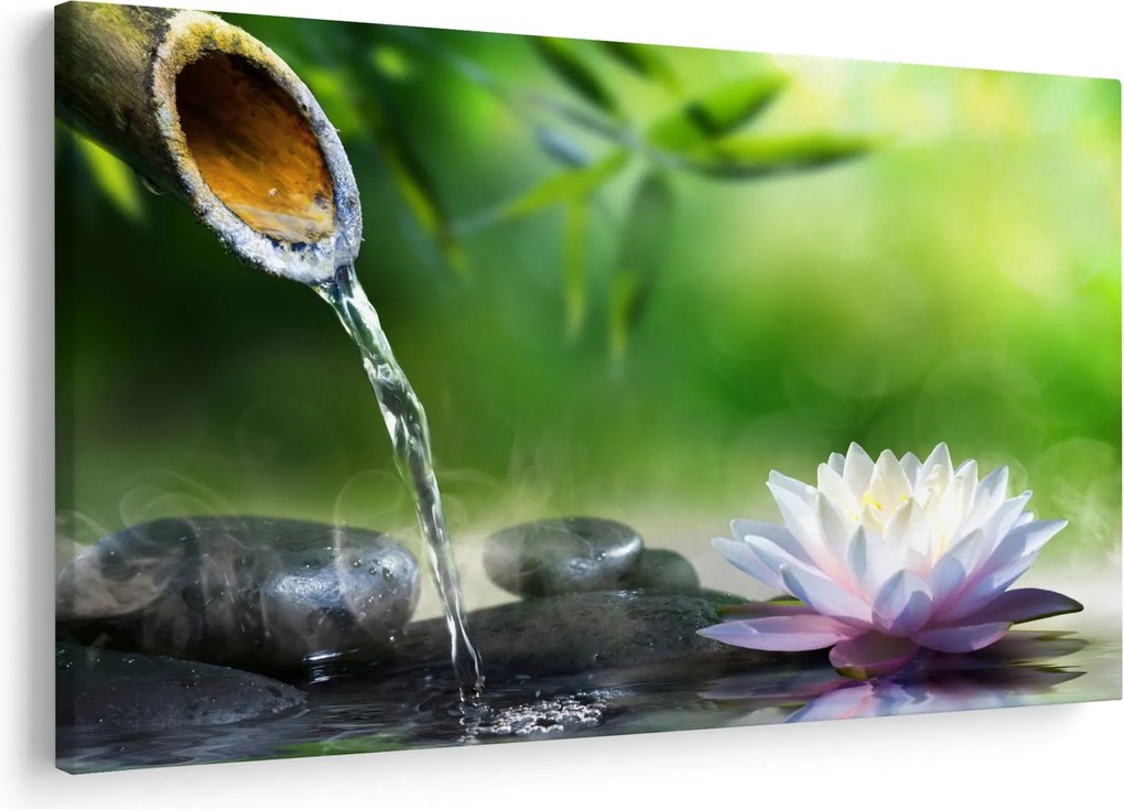 Obraz - Lotus (90x60 cm)