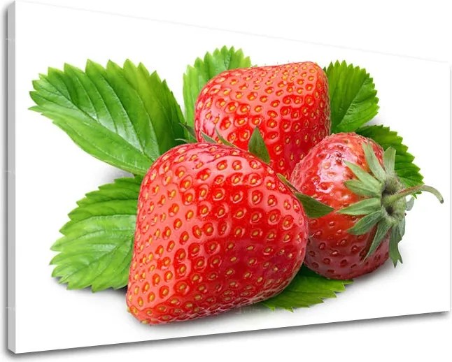 Obraz na stenu KUCHYŇA KU051E11 - 40x60 cm