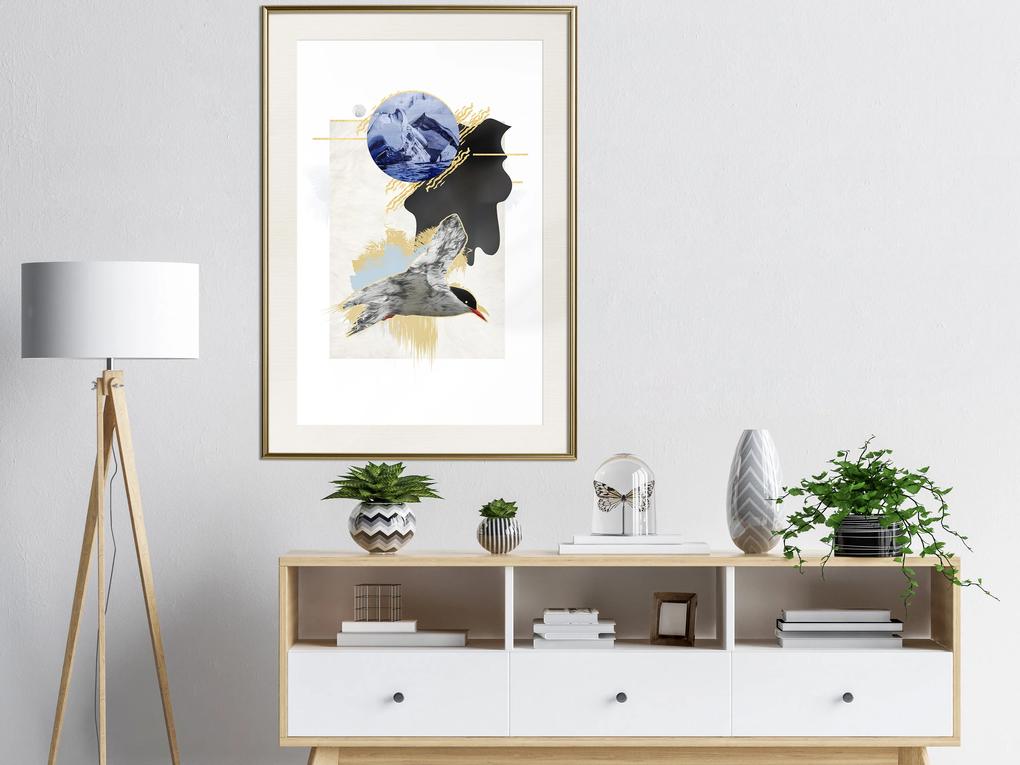 Artgeist Plagát - Antarctic Tern [Poster] Veľkosť: 30x45, Verzia: Zlatý rám s passe-partout