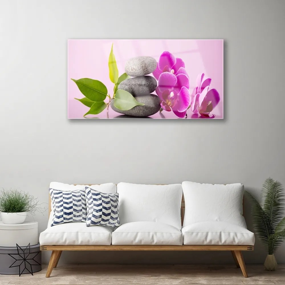 Skleneny obraz Orchidea vstavač kamene 125x50 cm