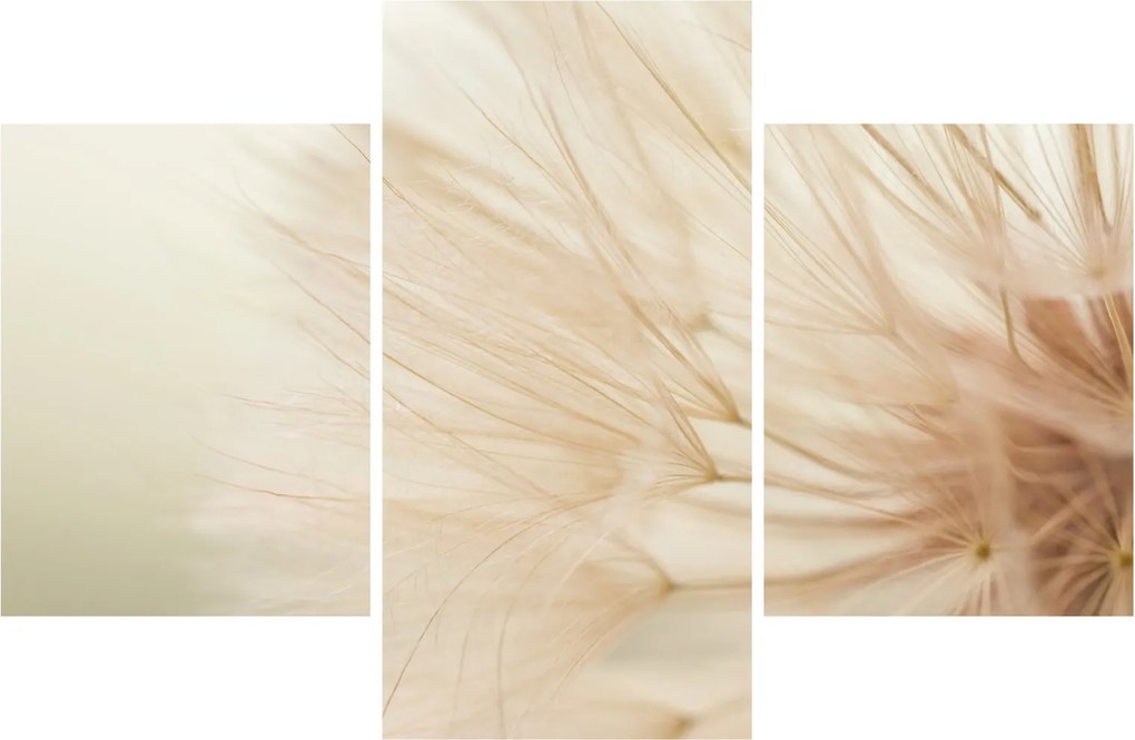 Obraz - Detaily kvetu (90x60 cm)