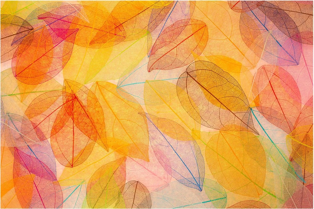 Obraz - Pozadie z jesenného lístia (90x60 cm)