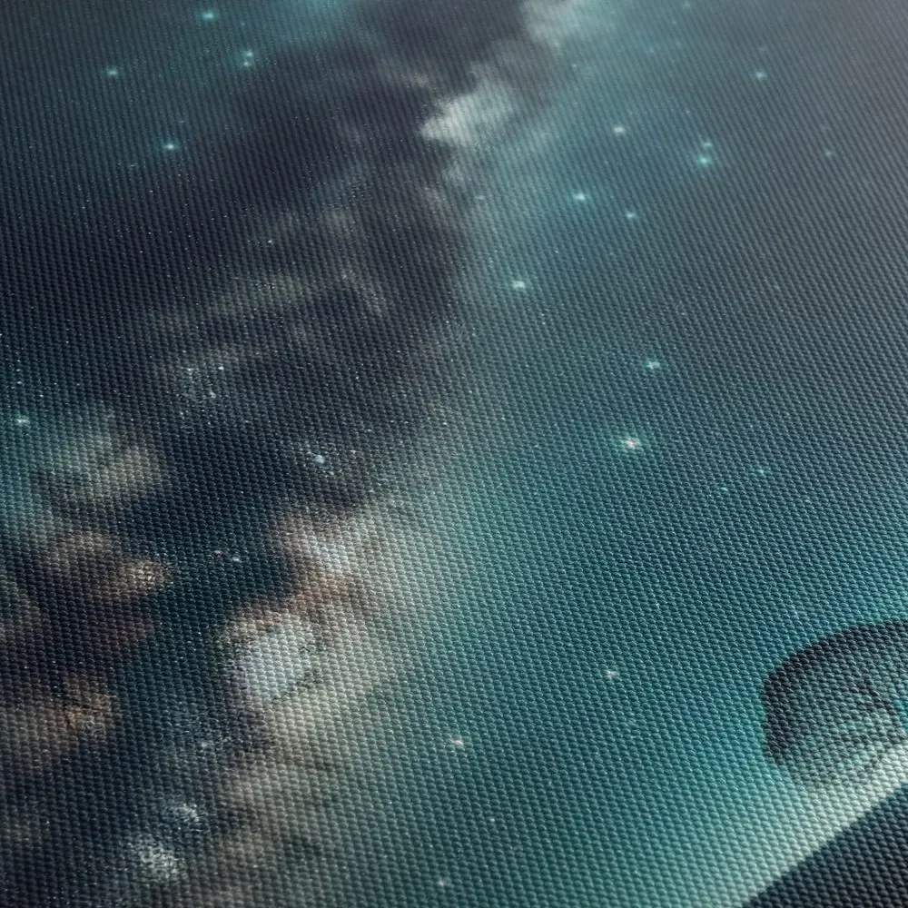 Obraz strom života a galaxia