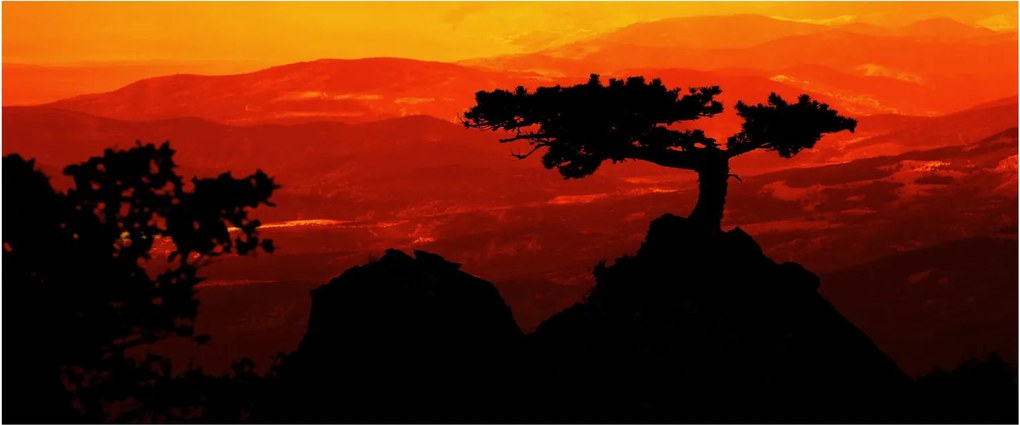 Obraz - Západ slnka (120x50 cm)