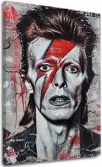 Obraz Davida Bowieho - Ikona hudby a štýlu