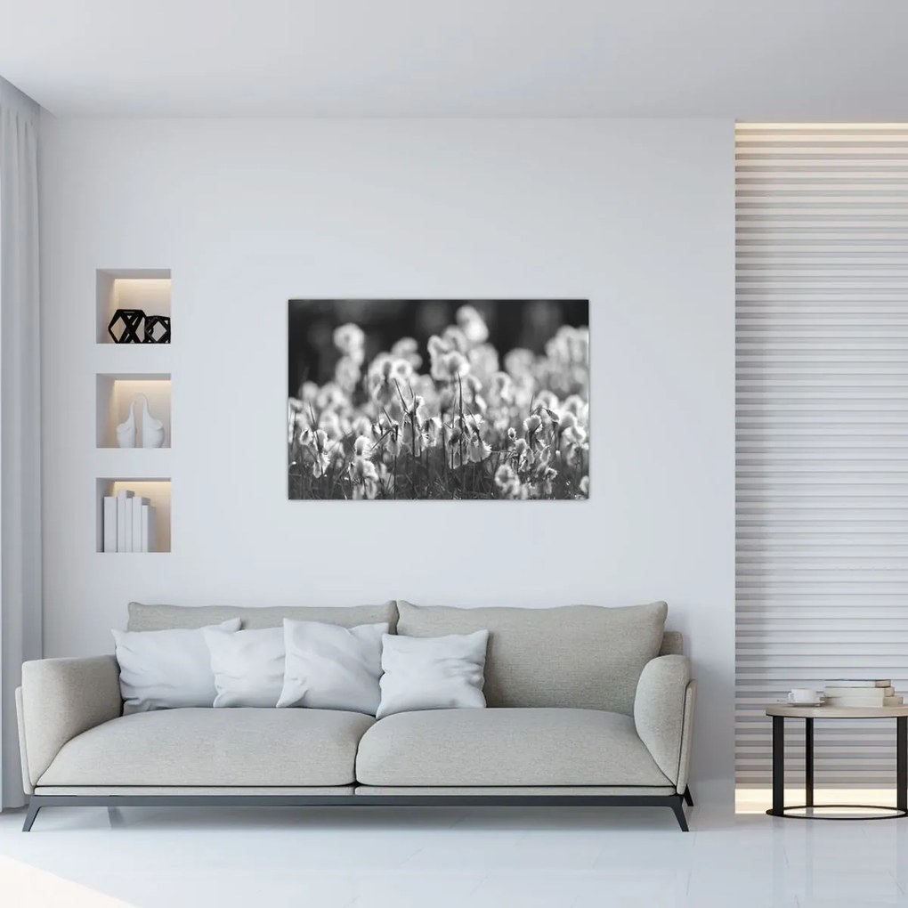 Obraz - Letná lúka (90x60 cm)