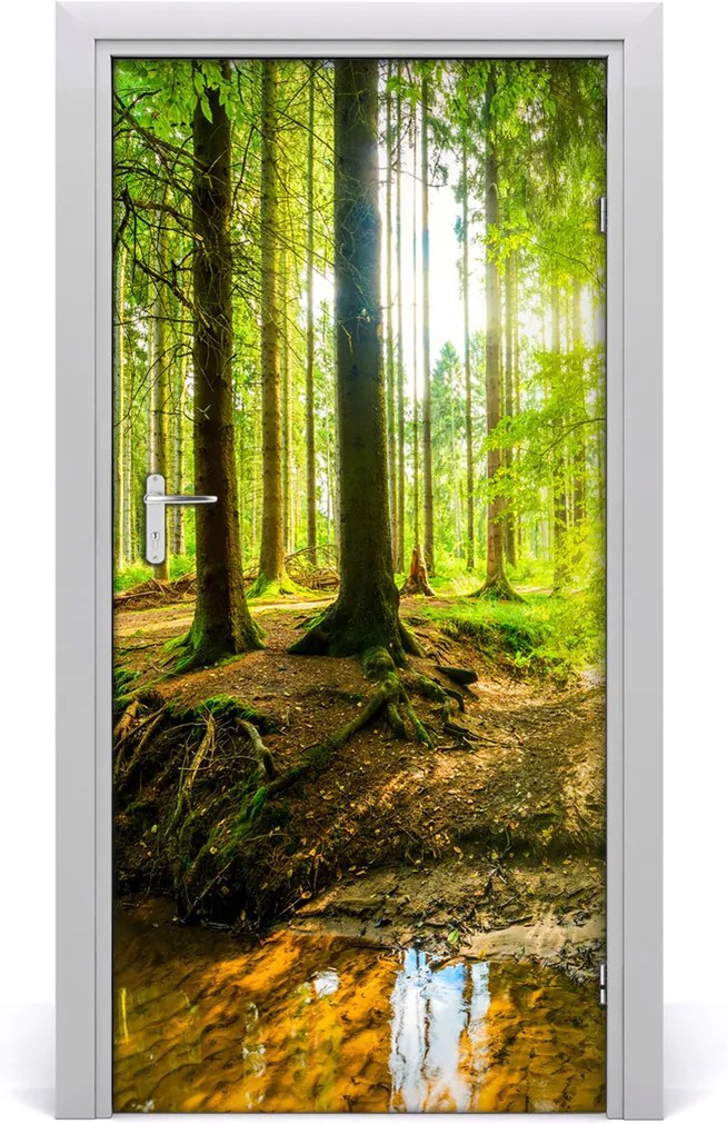 Fototapeta na dvere samolepiace  slnka v lese