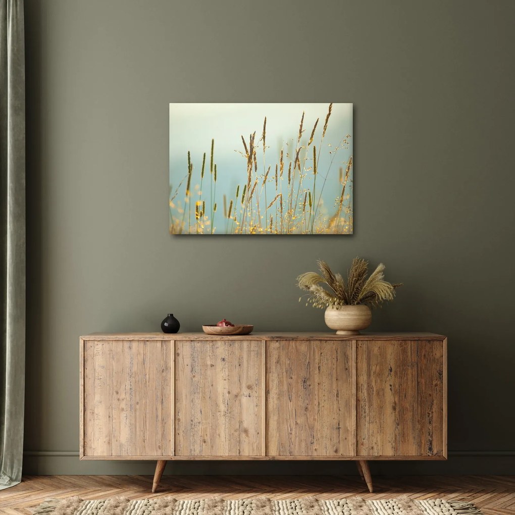 Obraz - Lúčny okamih (70x50 cm)