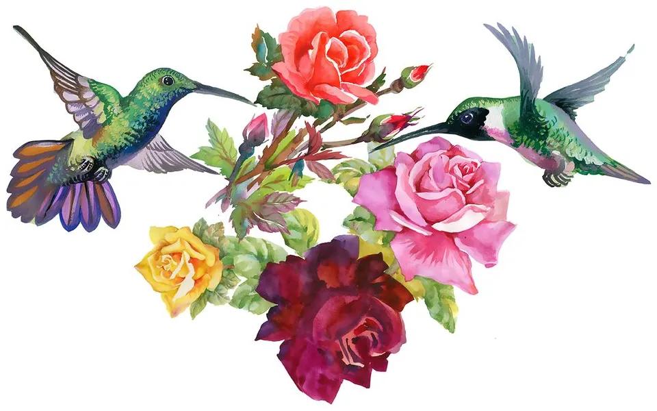 Samolepiaca tapeta kolibríky s kvetmi